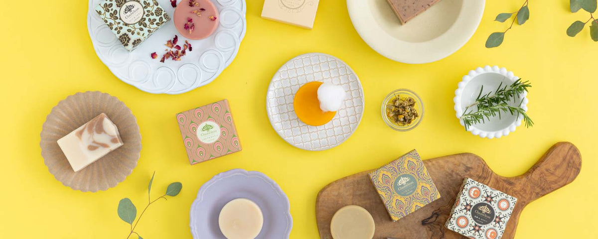 Chameleon（カメレオン）