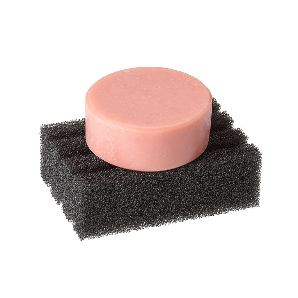 カメレオンソープ＆ソープスタンド　セット